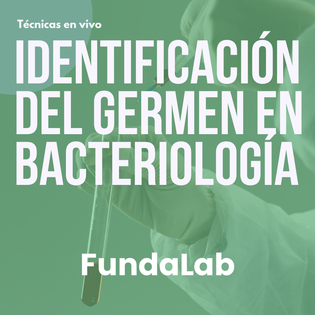 Identificación del Gérmen en Bacteriología
